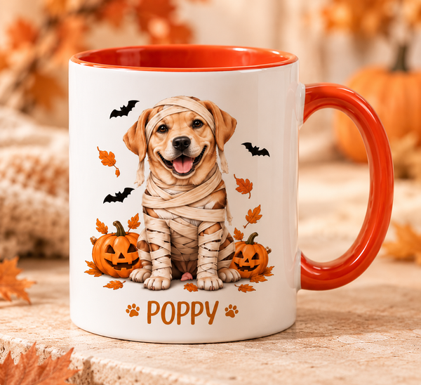Pet & name detail