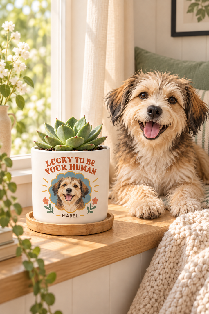 Personalized ceramic Mabel plant pot on a sunny windowsill beside a tan dog