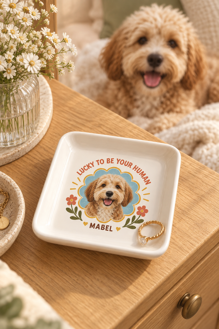 Personalized ceramic pet ring dish in a warm home with a fluffy tan dog