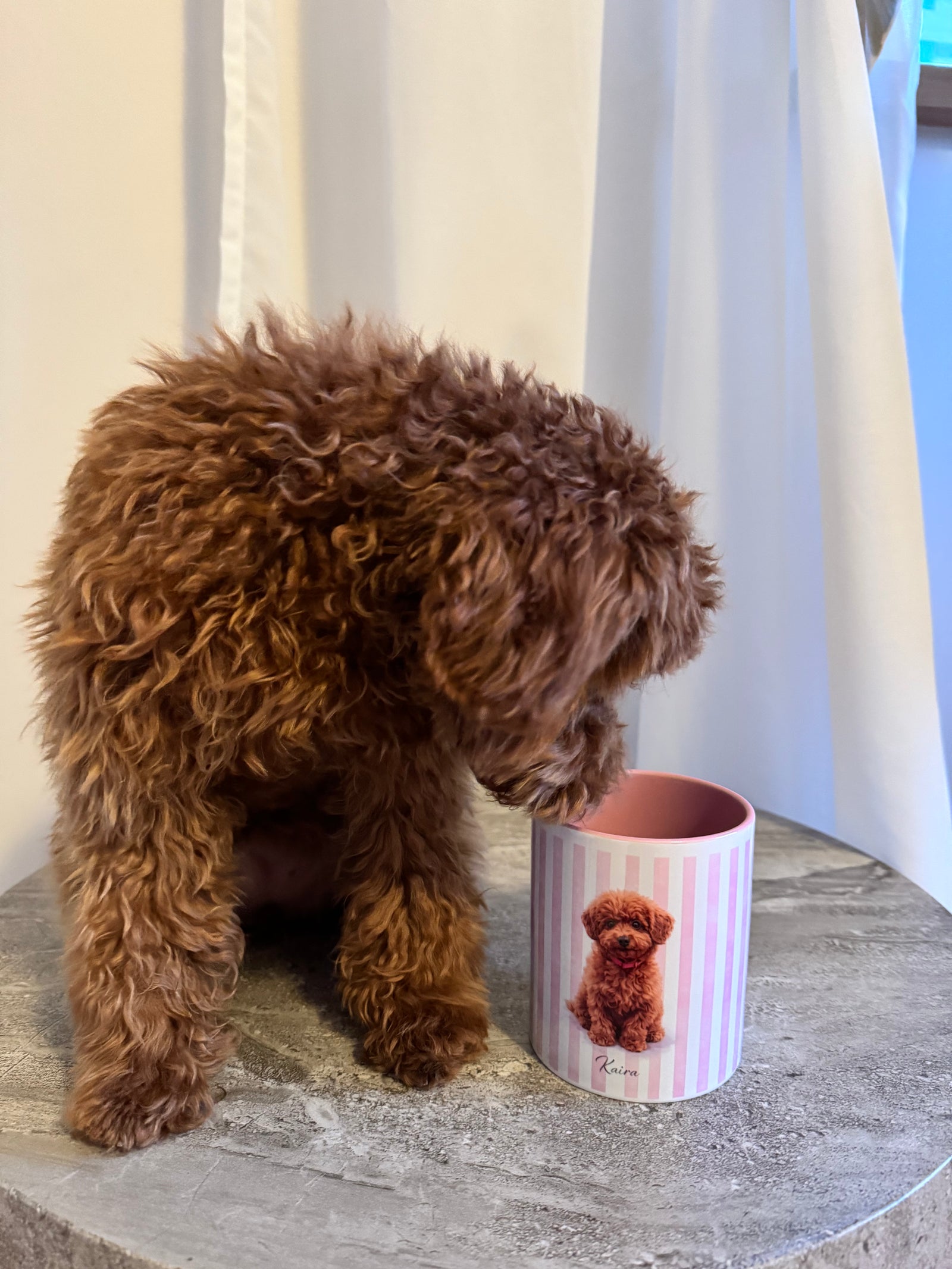 Customer review photo of a custom pet mug beside a small dog