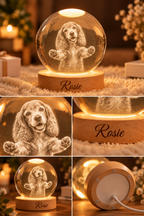 Feel Hugged — Personalized Pet Crystal Globe Lamp — product details and close-up mockup