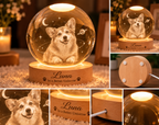 In a Better Universe — Personalized Pet Crystal Globe Lamp — product details and close-up mockup