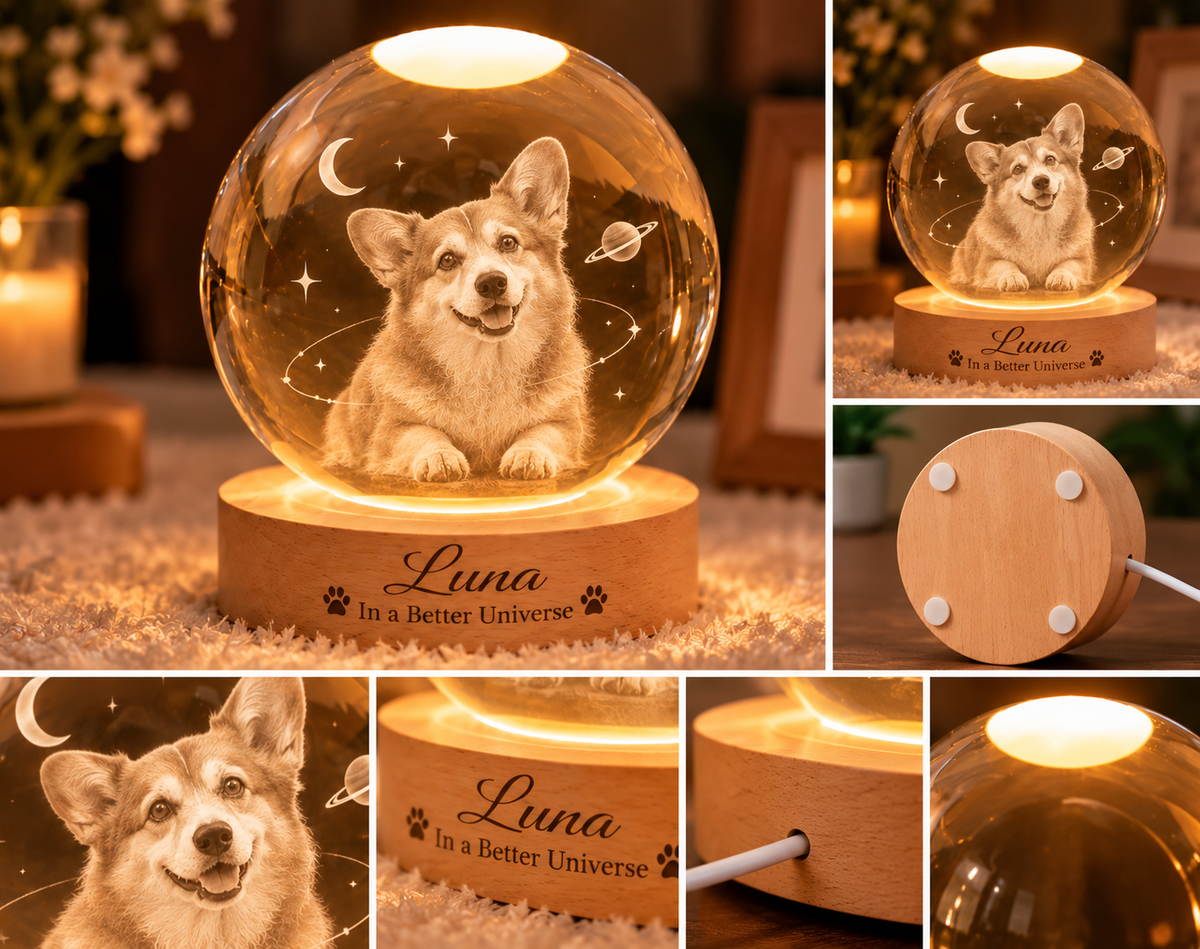 In a Better Universe — Personalized Pet Crystal Globe Lamp — product details and close-up mockup