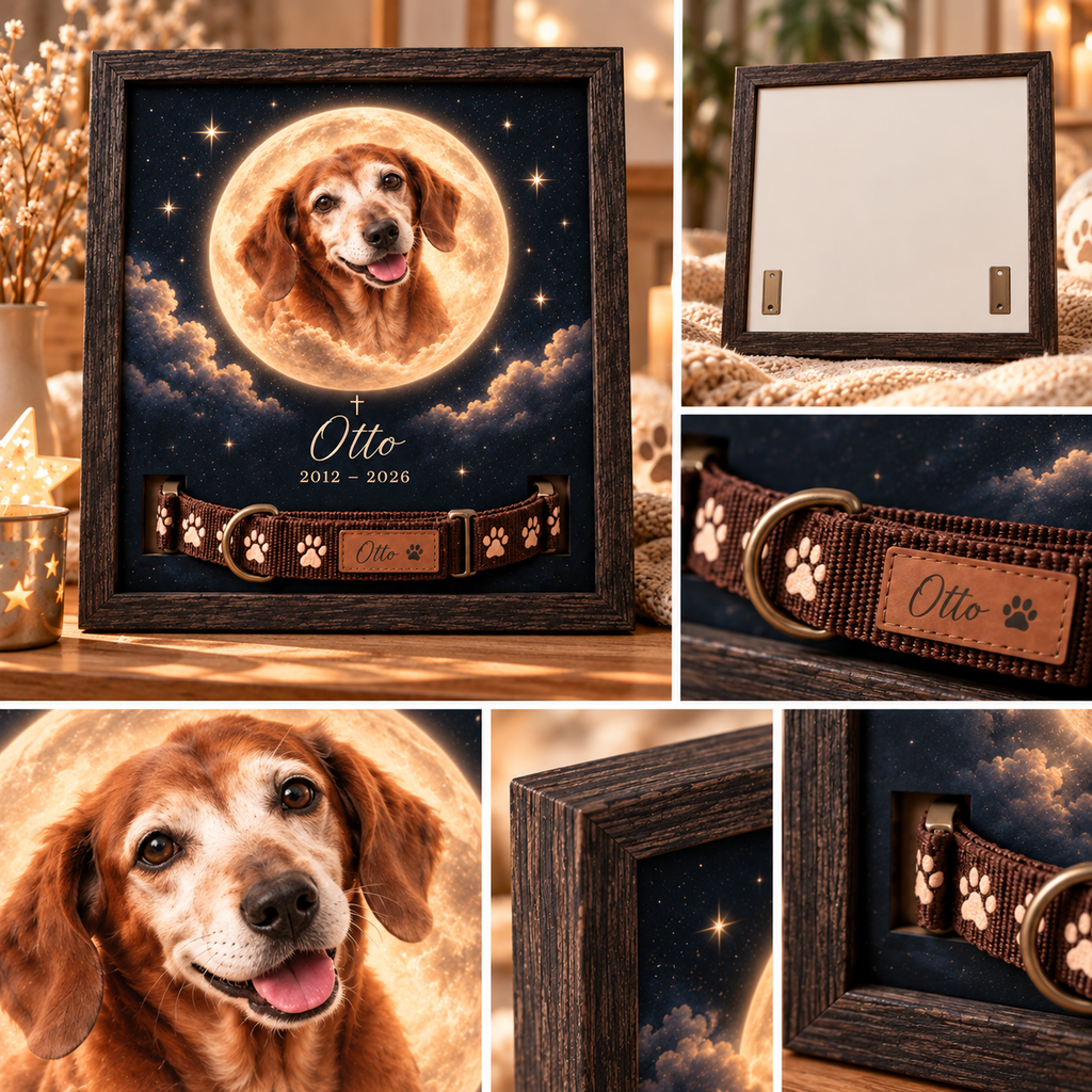 In the Moonlight — Personalized Pet Memorial Frame — product details and close-up mockup