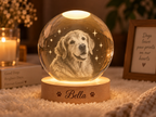 Among the Stars — Personalized Pet Crystal Globe Lamp — supplied primary design mockup