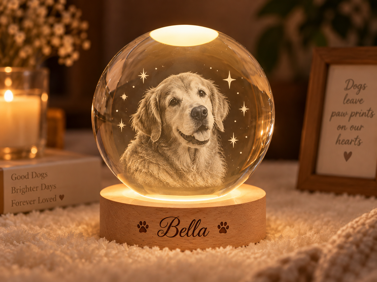 Among the Stars — Personalized Pet Crystal Globe Lamp — supplied primary design mockup