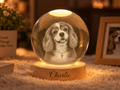 Blessed in Heaven — Personalized Pet Crystal Globe Lamp — supplied primary design mockup