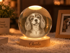 Blessed in Heaven — Personalized Pet Crystal Globe Lamp — supplied primary design mockup