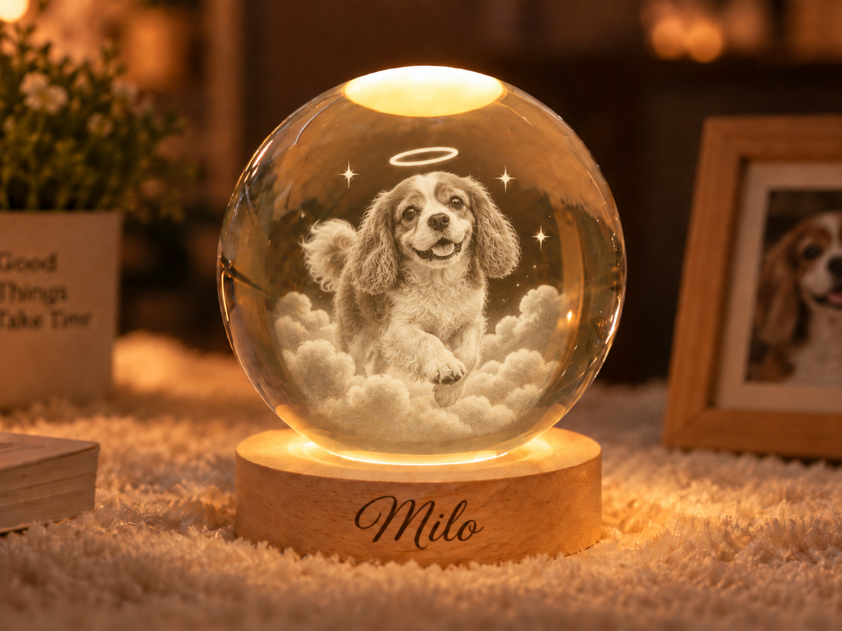 Still Running Free — Personalized Pet Crystal Globe Lamp — supplied primary design mockup
