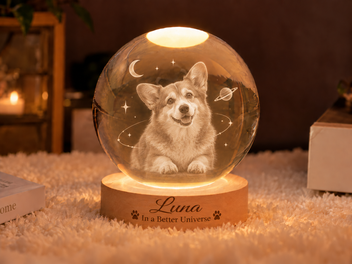 In a Better Universe — Personalized Pet Crystal Globe Lamp — supplied primary design mockup