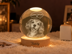 Mommy, I’ve Got You — Personalized Pet Crystal Globe Lamp — supplied primary design mockup