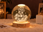 Chilling in a Better Place — Personalized Pet Crystal Globe Lamp — supplied primary design mockup