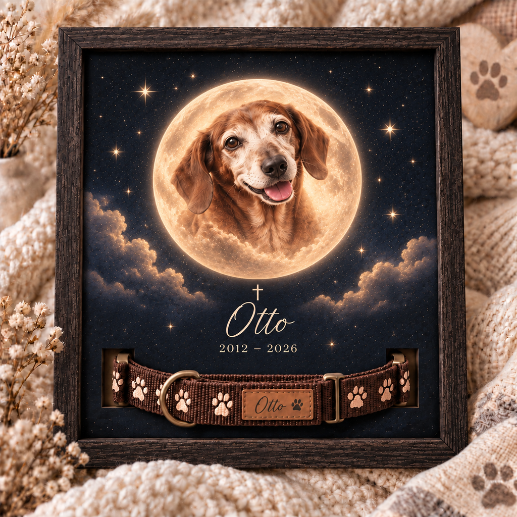 In the Moonlight — Personalized Pet Memorial Frame — supplied primary design mockup