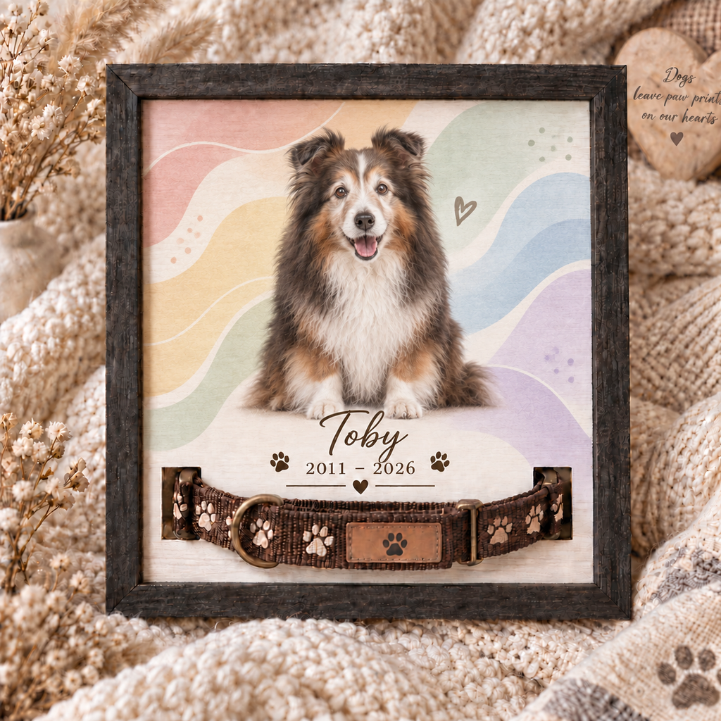 Remembered in Color — Rainbow Waves — Personalized Pet Memorial Frame — supplied primary design mockup
