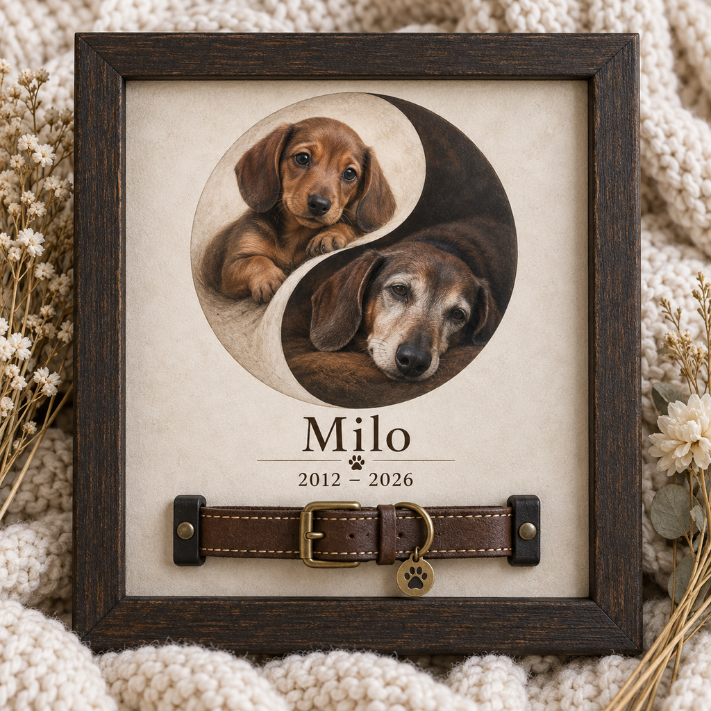 Beginning & Beyond — Personalized Pet Memorial Frame — supplied primary design mockup