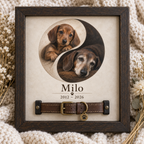 Beginning & Beyond — Personalized Pet Memorial Frame — supplied primary design mockup