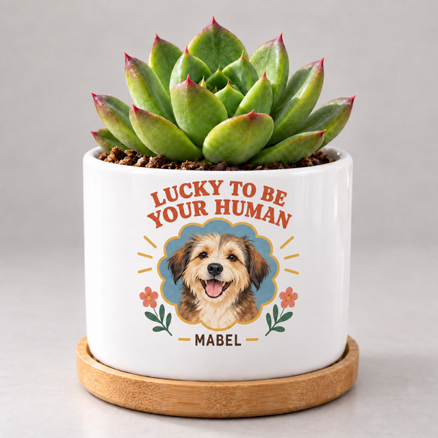 Lucky to Be Your Human — Personalized Pet Plant Pot — coordinated studio mockup
