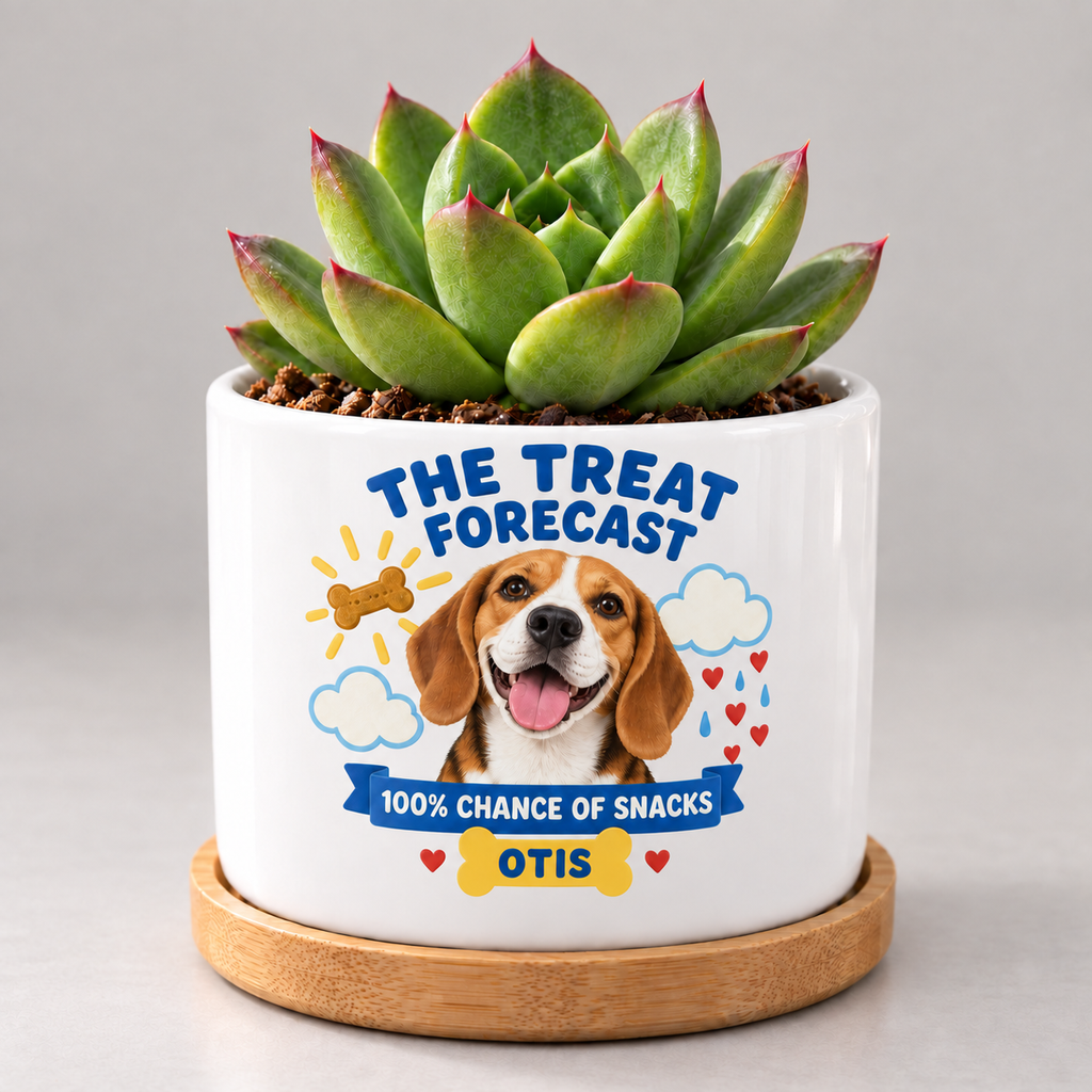 The Treat Forecast — Personalized Pet Plant Pot — coordinated studio mockup