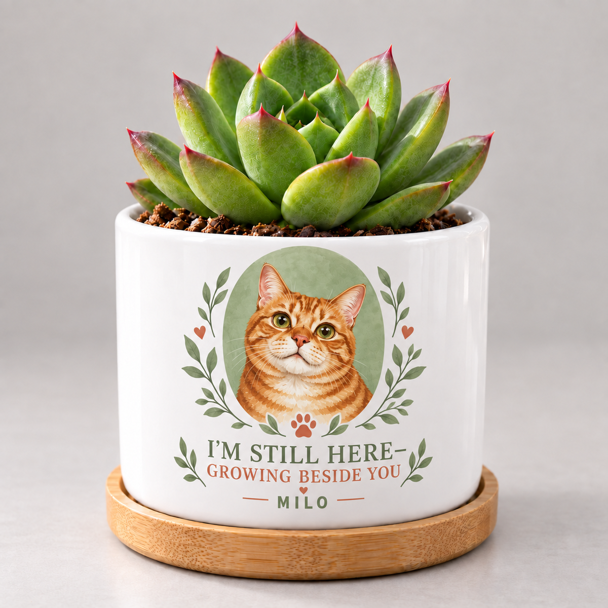 Still Here, Growing Beside You — Personalized Pet Plant Pot — coordinated studio mockup