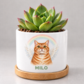 Rainbow Bridge Wings — Personalized Pet Plant Pot — coordinated studio mockup