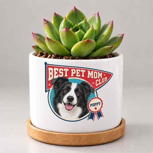 Best Pet Mom Club — Personalized Pet Plant Pot — coordinated studio mockup