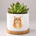Starlight Companion — Personalized Pet Plant Pot — coordinated studio mockup