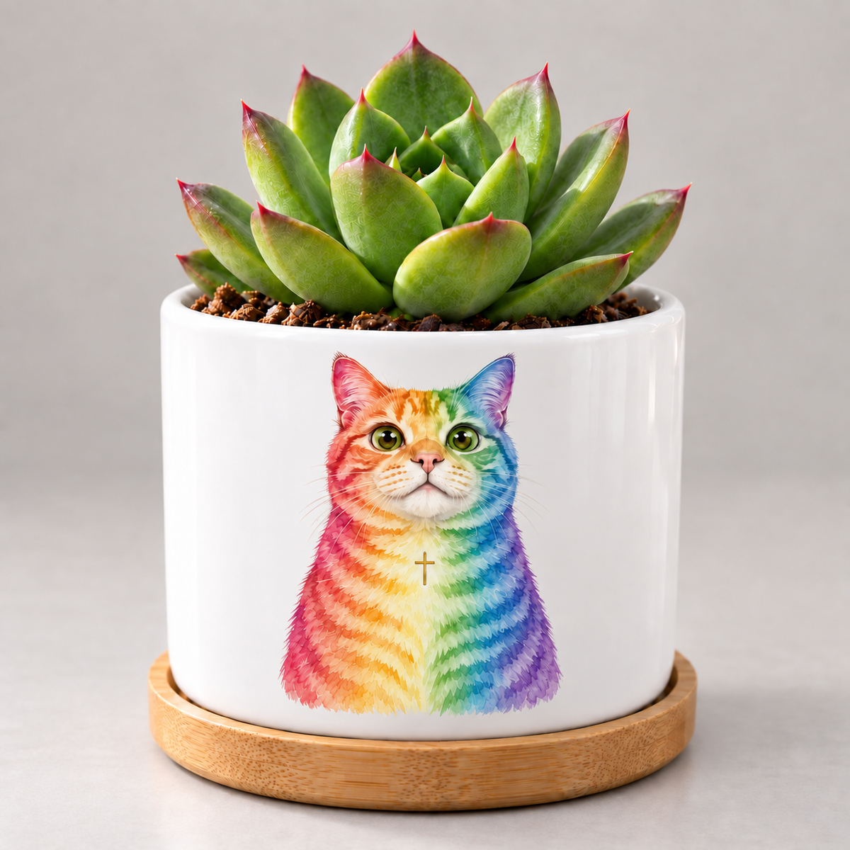 Rainbow Soul — Personalized Pet Plant Pot — coordinated studio mockup