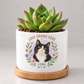 Love Grows Here — Personalized Pet Plant Pot — coordinated studio mockup