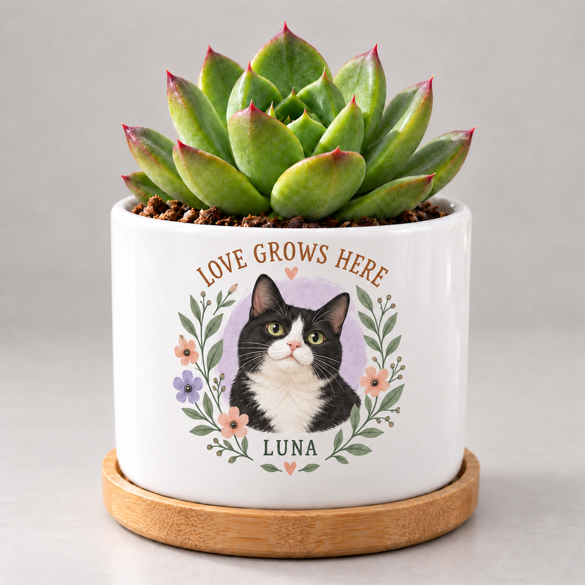 Love Grows Here — Personalized Pet Plant Pot — coordinated studio mockup