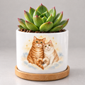 Together Among the Stars — Personalized Pet Plant Pot — coordinated studio mockup