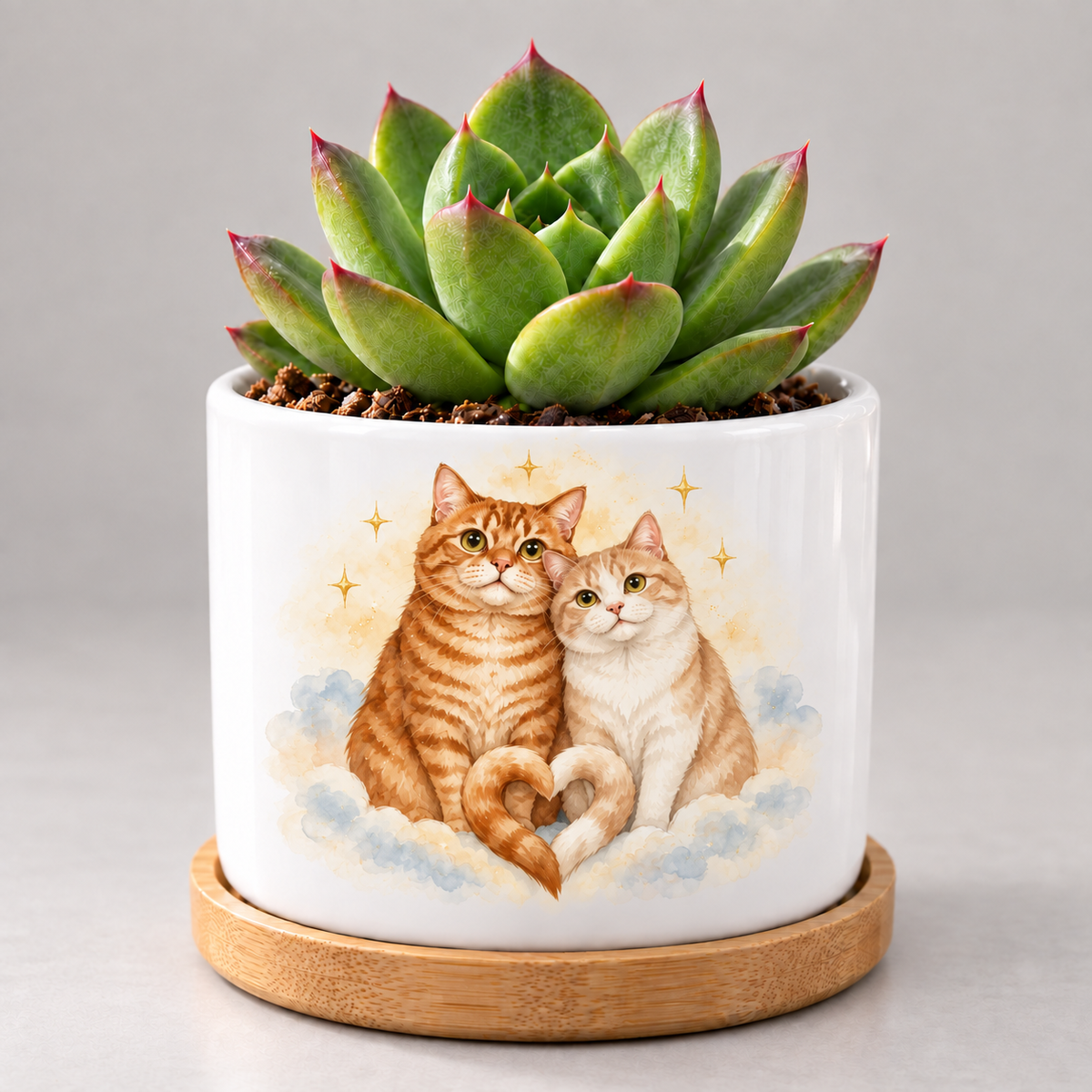 Together Among the Stars — Personalized Pet Plant Pot — coordinated studio mockup