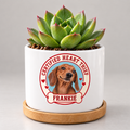Certified Heart Thief — Personalized Pet Plant Pot — coordinated studio mockup