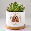 My Favorite Hello — Personalized Pet Plant Pot — coordinated studio mockup