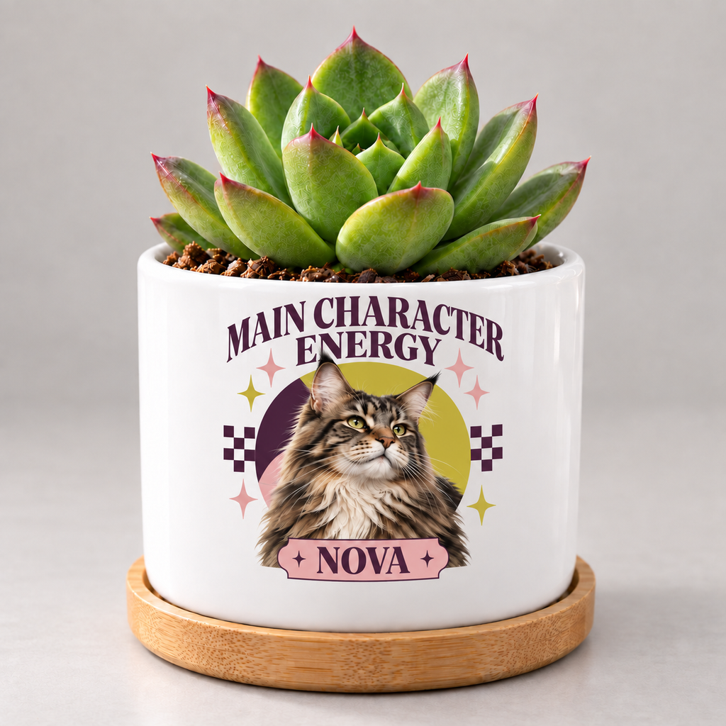 Main Character Energy — Personalized Pet Plant Pot — coordinated studio mockup