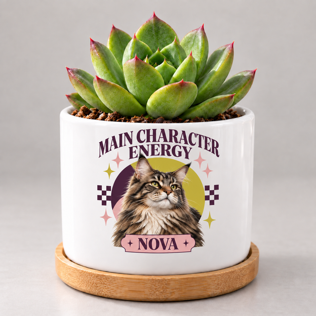 Main Character Energy — Personalized Pet Plant Pot — coordinated studio mockup