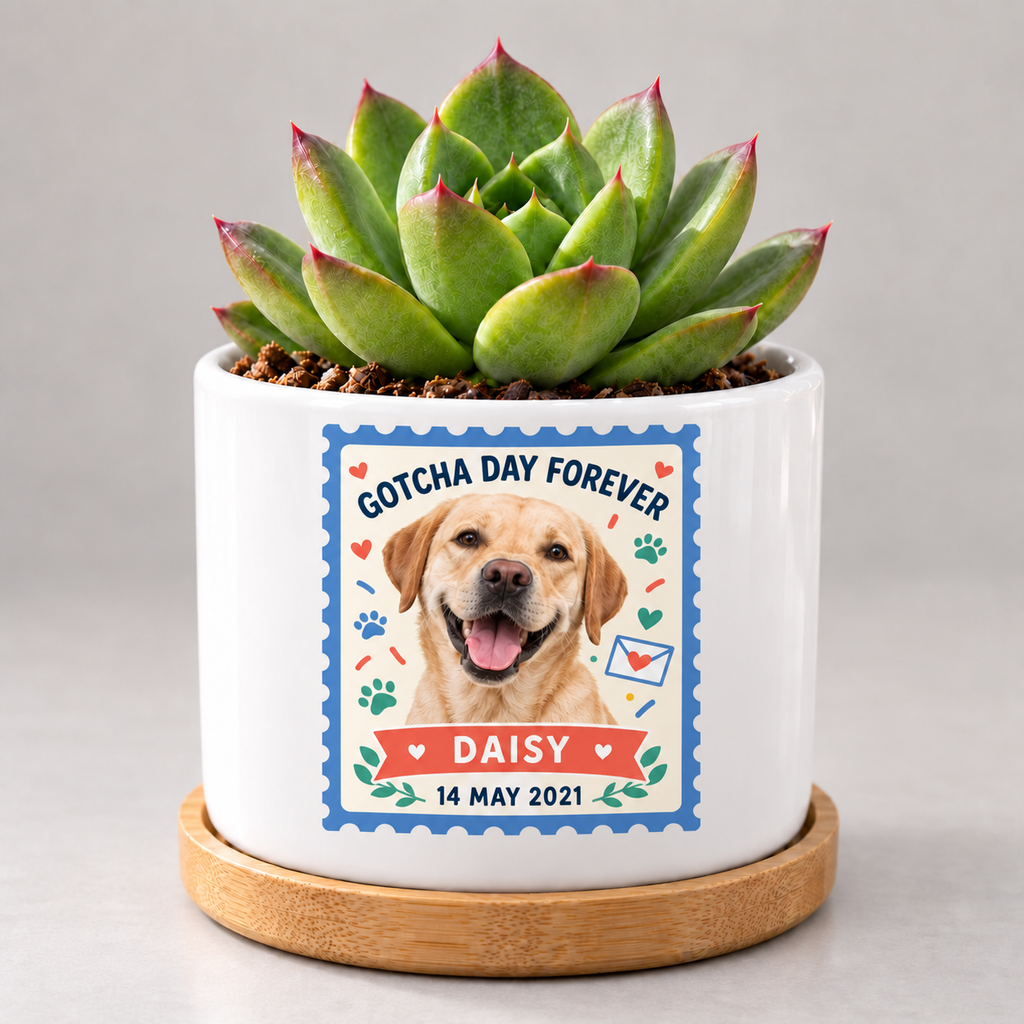 Gotcha Day Forever — Personalized Pet Plant Pot — coordinated studio mockup