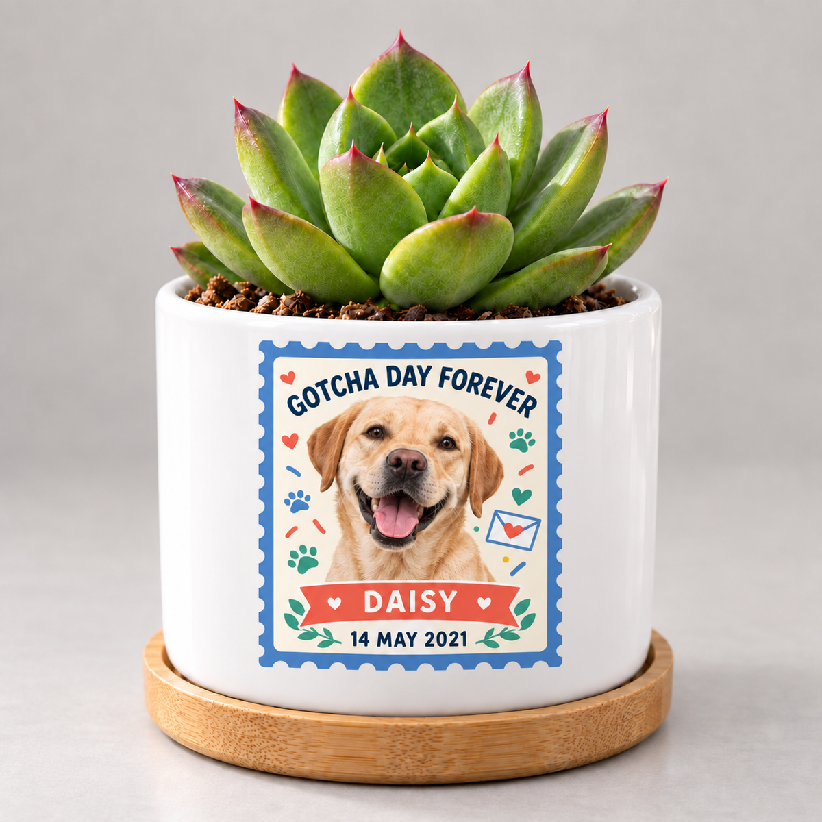 Gotcha Day Forever — Personalized Pet Plant Pot — coordinated studio mockup