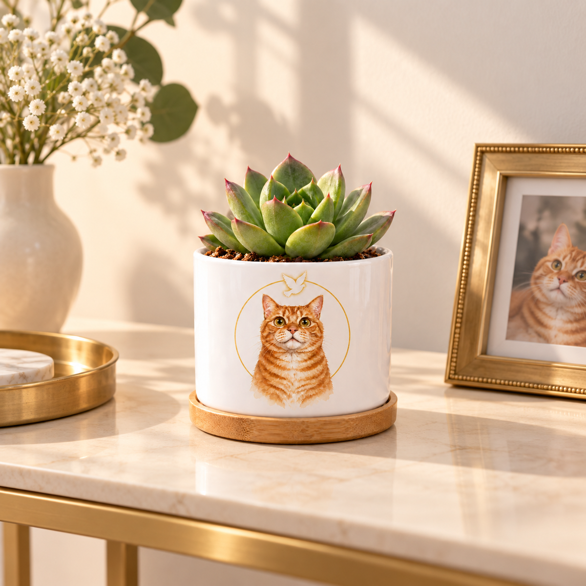 Golden Halo personalized pet plant pot in a real-life setting
