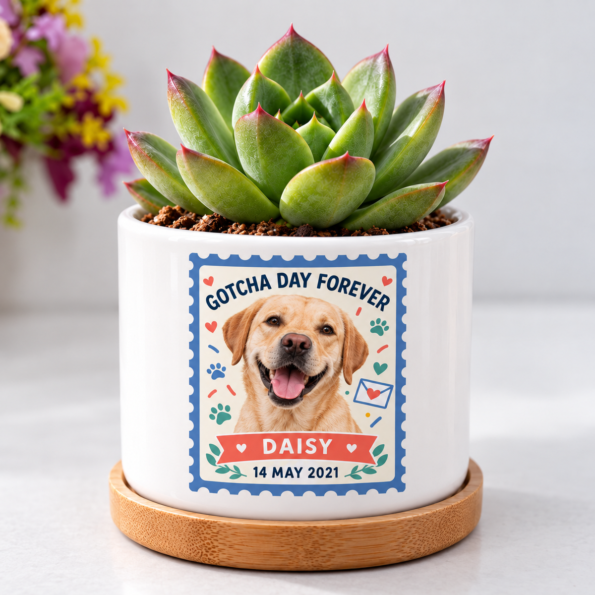 Gotcha Day Forever personalized pet plant pot close-up