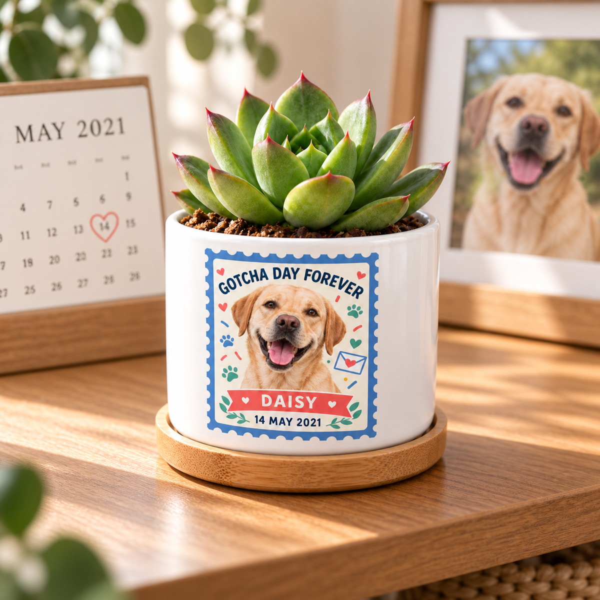 Gotcha Day Forever personalized pet plant pot side-angle lifestyle