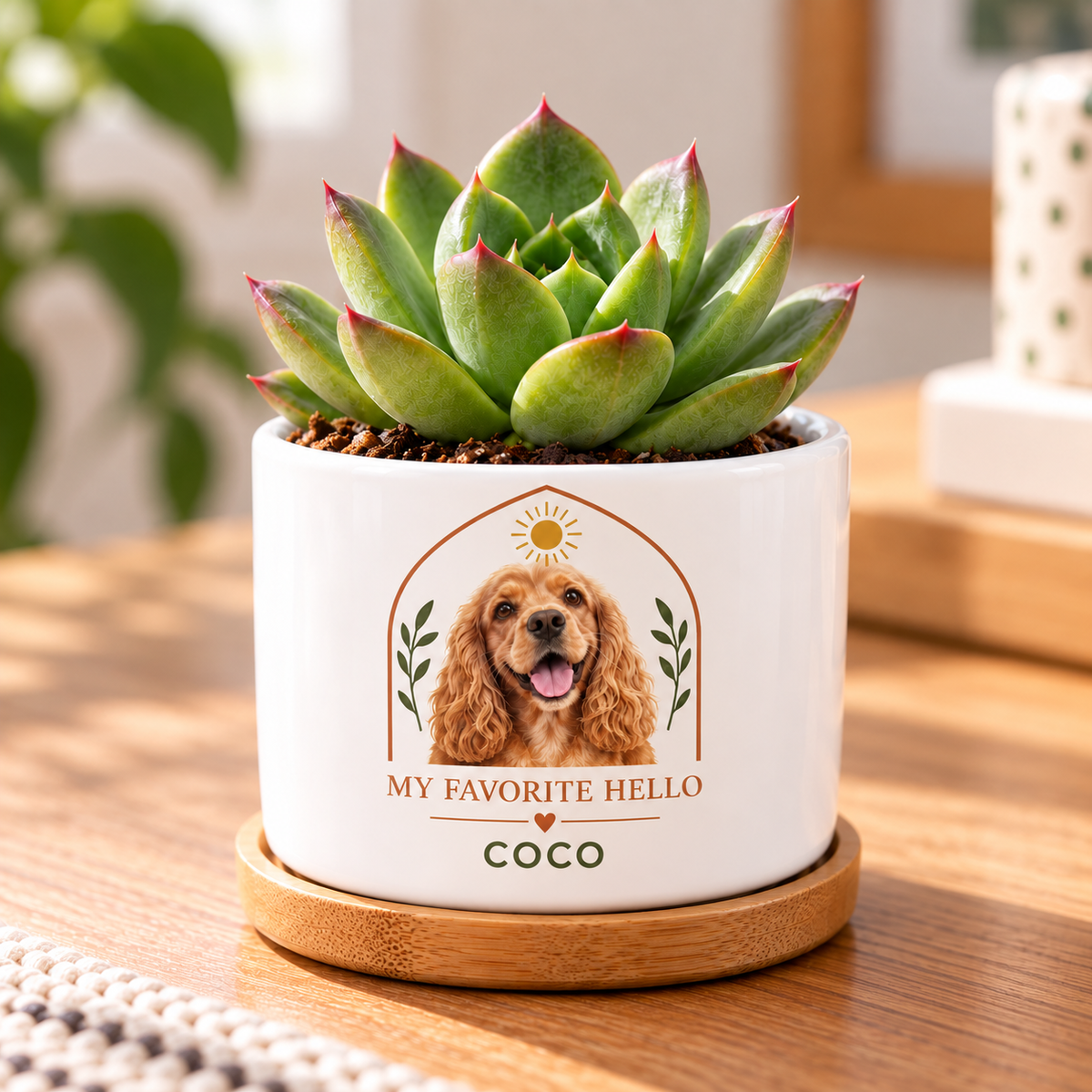 My Favorite Hello personalized pet plant pot close-up