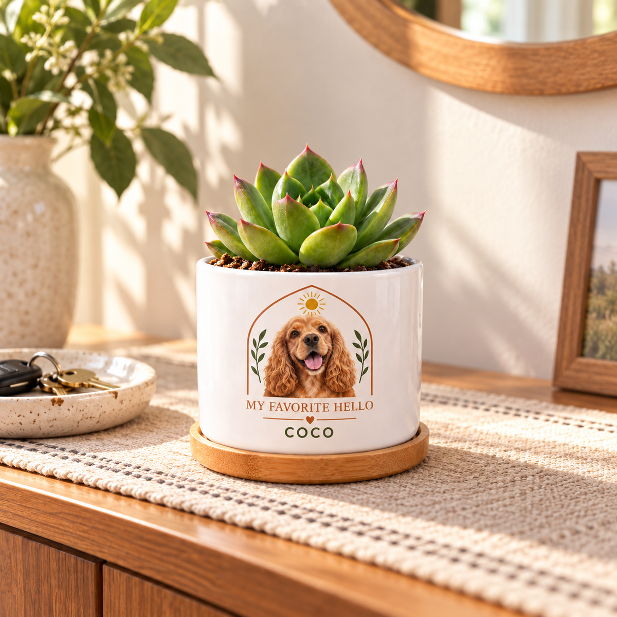 My Favorite Hello personalized pet plant pot in a real-life setting