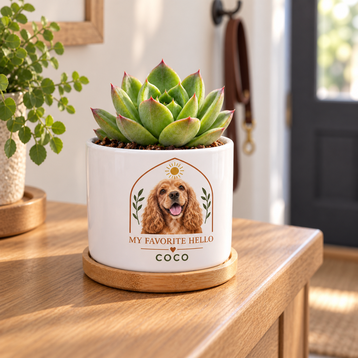 My Favorite Hello personalized pet plant pot side-angle lifestyle