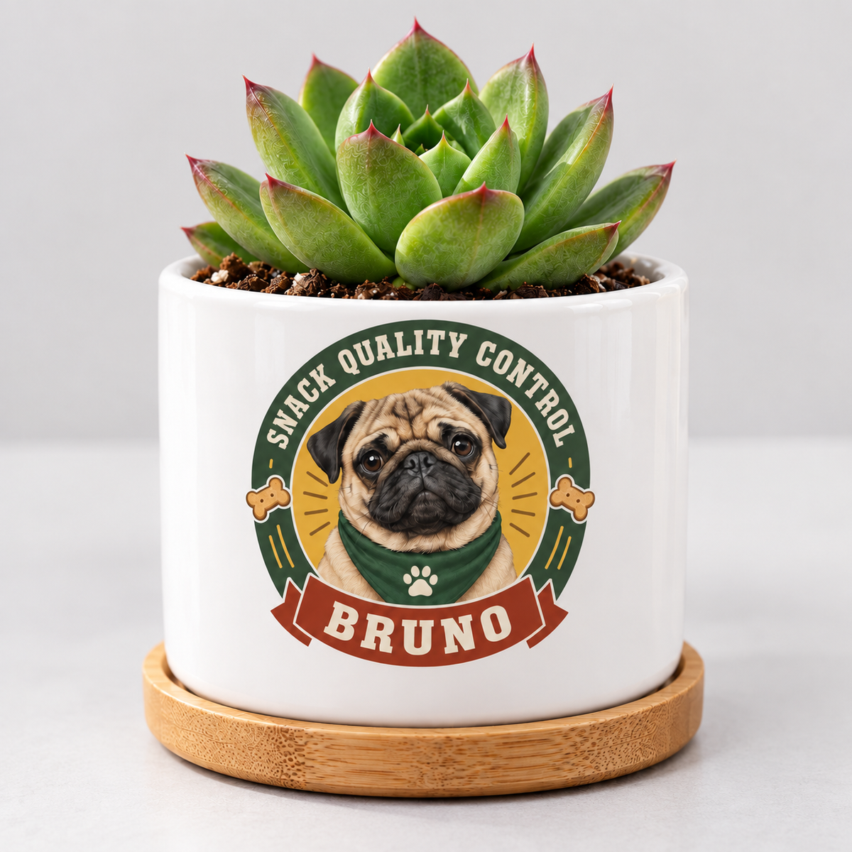 Snack Quality Control personalized pet plant pot close-up