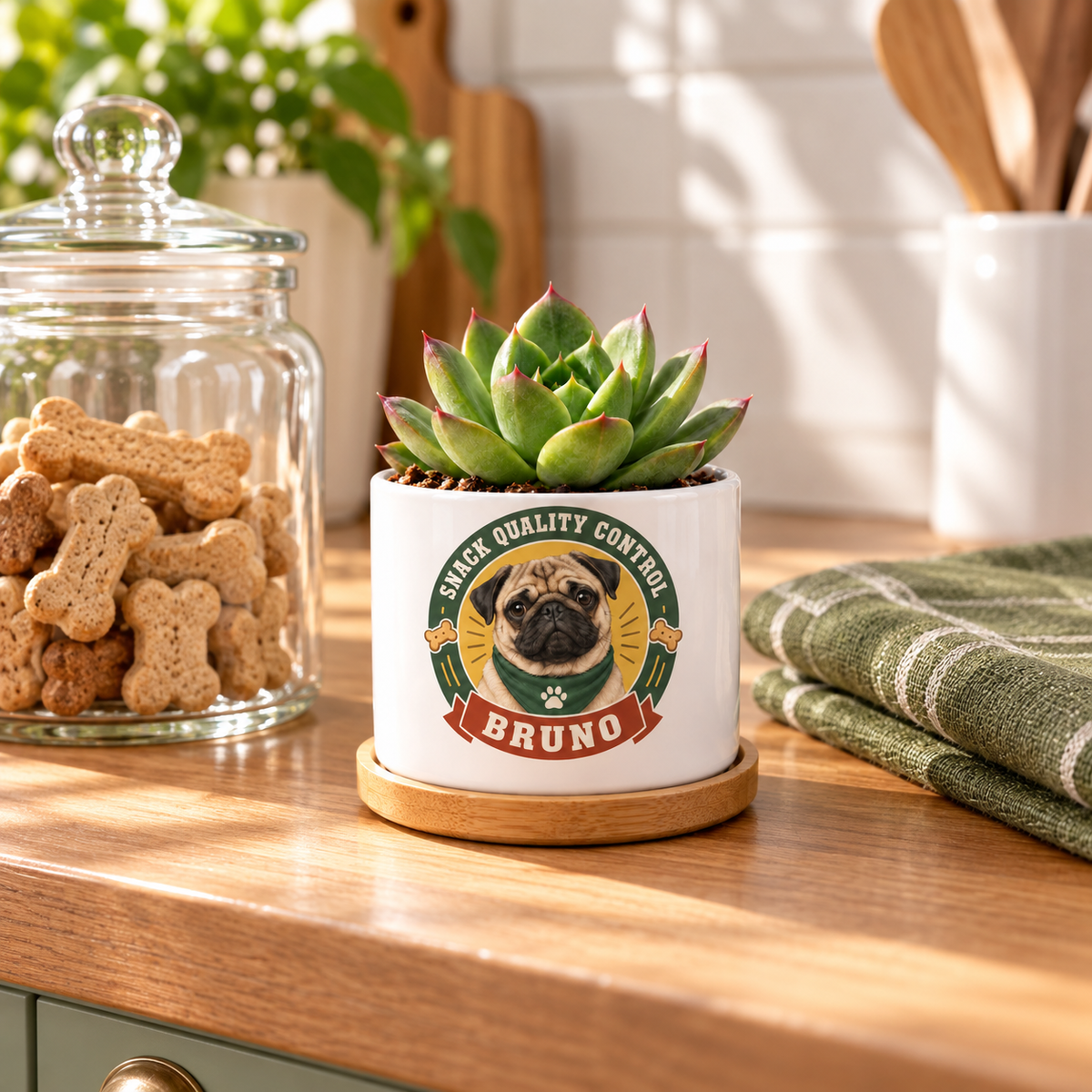 Snack Quality Control personalized pet plant pot in a real-life setting