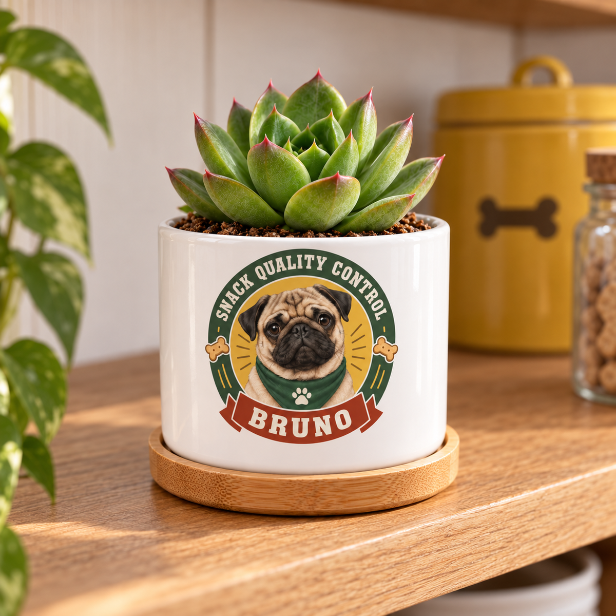 Snack Quality Control personalized pet plant pot side-angle lifestyle