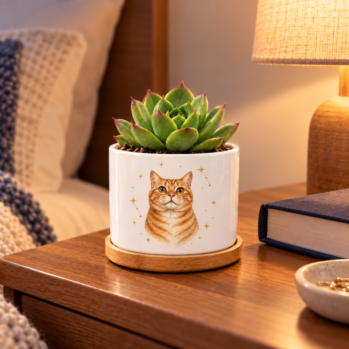Starlight Companion personalized pet plant pot in a real-life setting