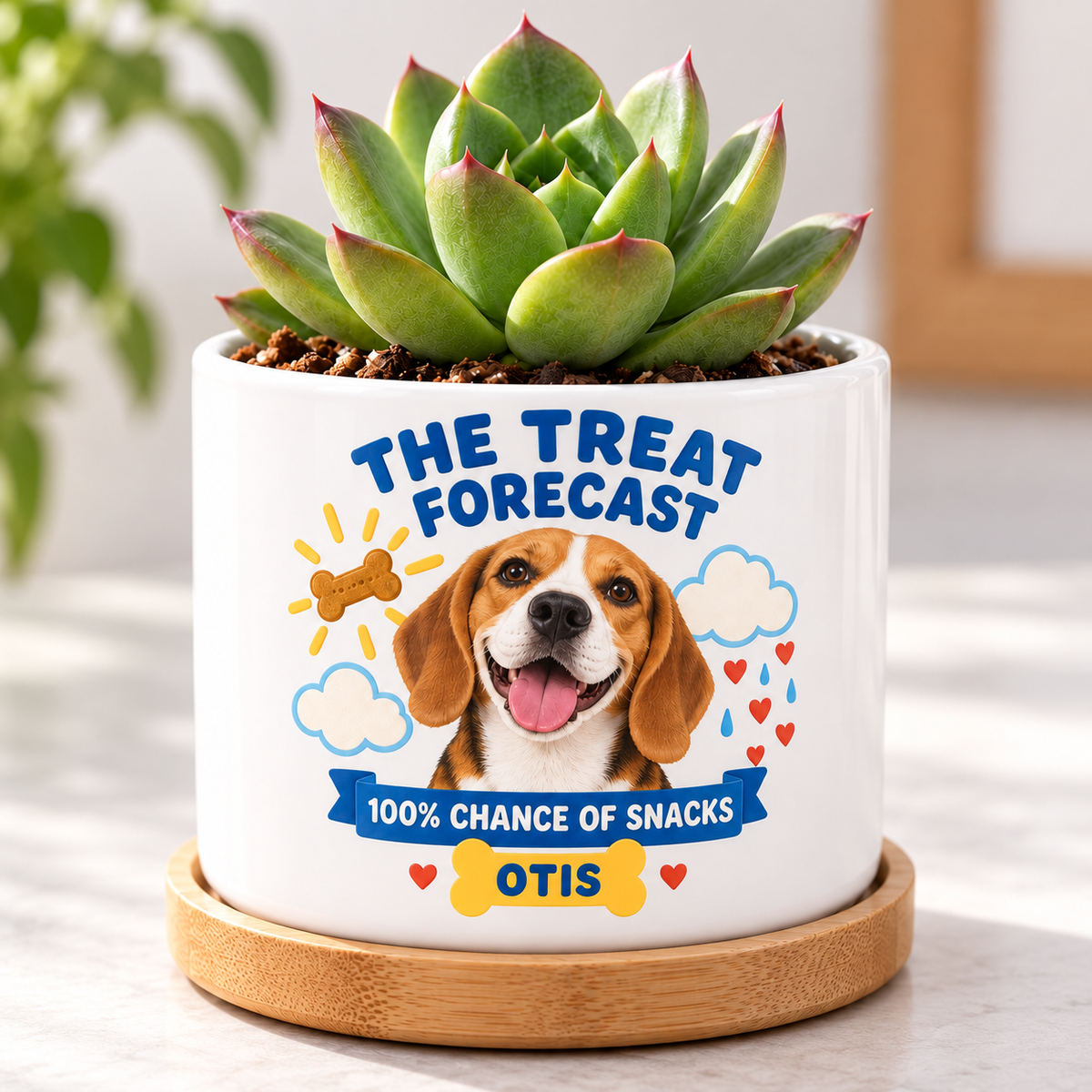 The Treat Forecast personalized pet plant pot close-up